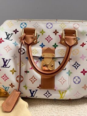 AUTH Louis Vuitton Multicolor Murakami Speedy